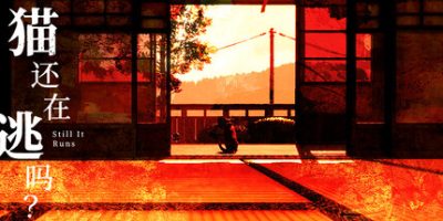 猫还在逃吗？/Still It Runs